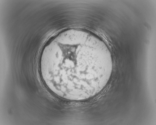 X0000115790145200912111155