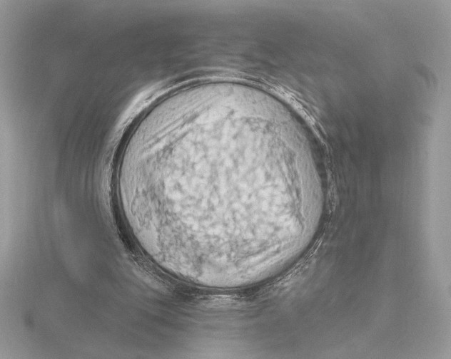 X0000115790151200912111155