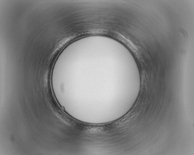 X0000115790155200912111155