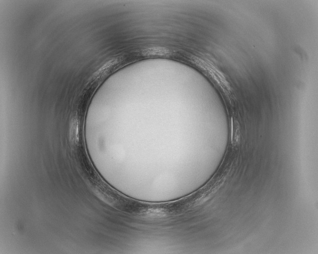 X0000115790157200912111155