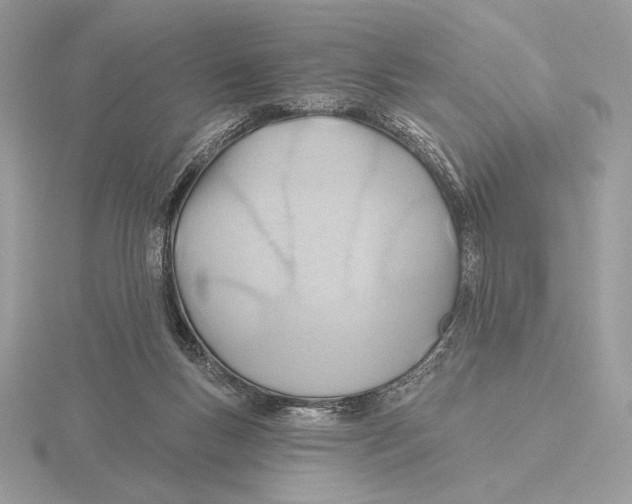 X0000115790167200912111156