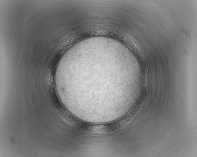 X0000115790173200912111156