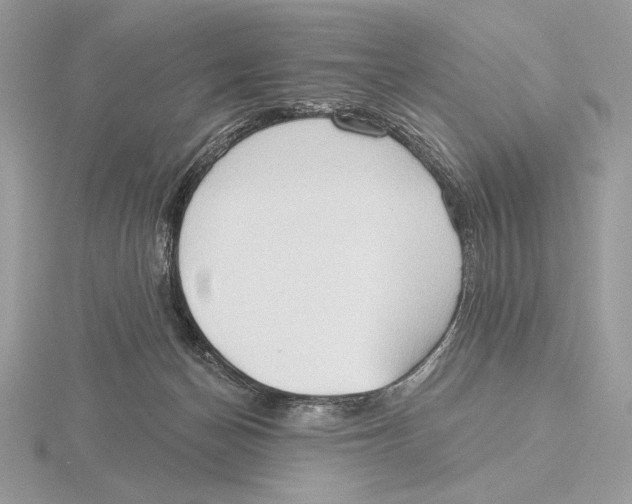 X0000115790174200912111156