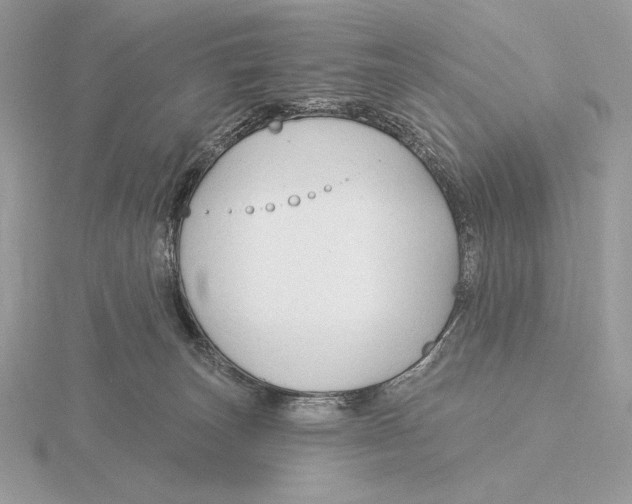 X0000115790179200912111156