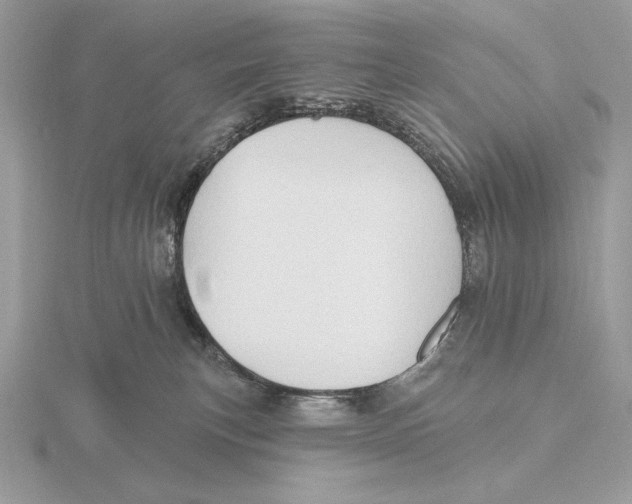 X0000115790183200912111156