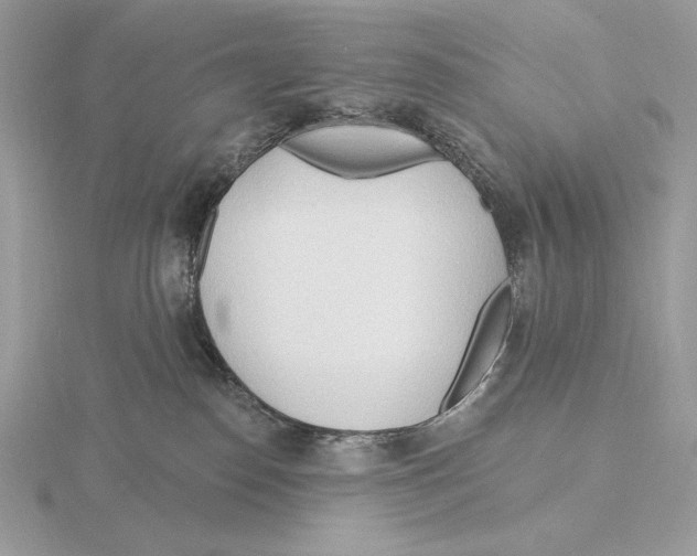 X0000115790186200912111156