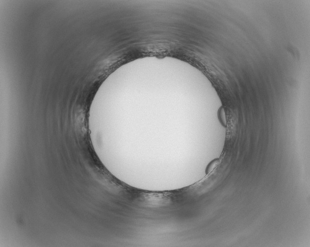 X0000115790187200912111156