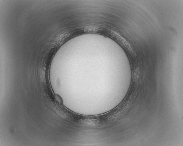 X0000115790209200912111155