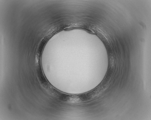 X0000115790214200912111155
