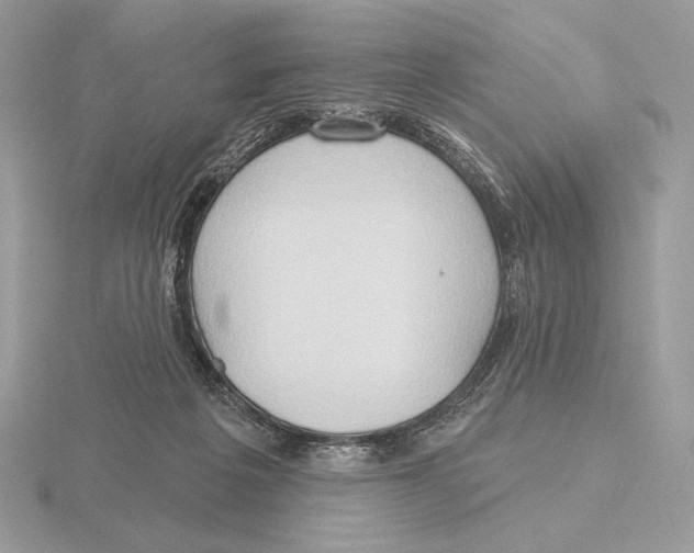 X0000115790217200912111155