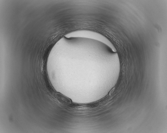 X0000115790219200912111155