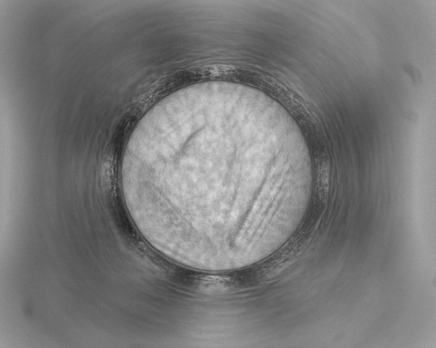 X0000115790222200912111155