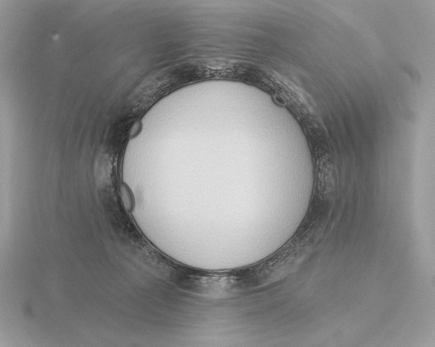 X0000115790225200912111155