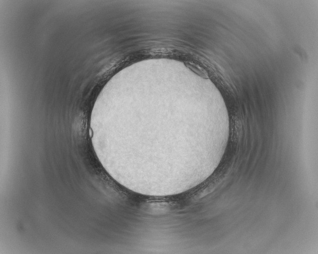 X0000115790228200912111155