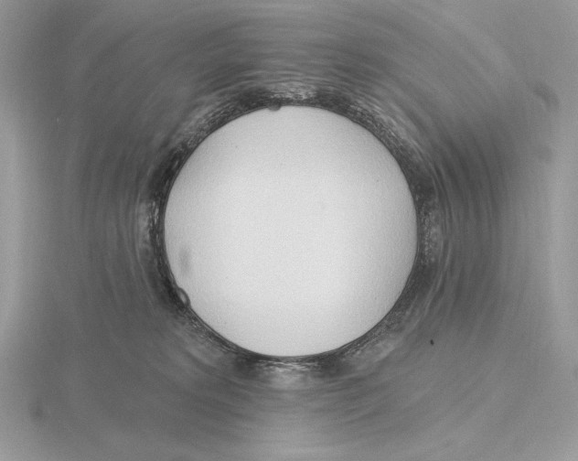 X0000115790229200912111155