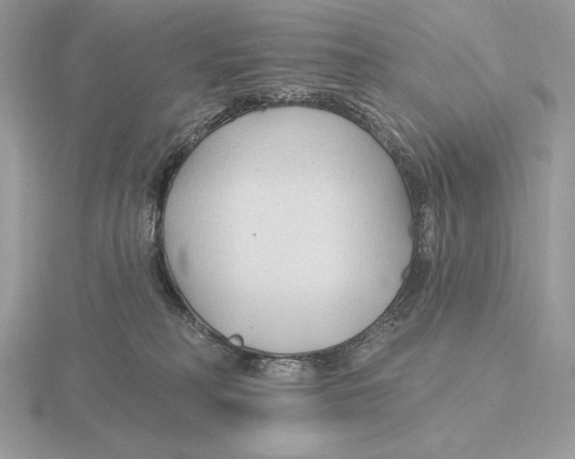 X0000115790230200912111155