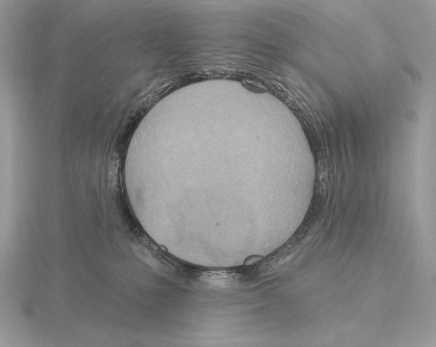 X0000115790231200912111155