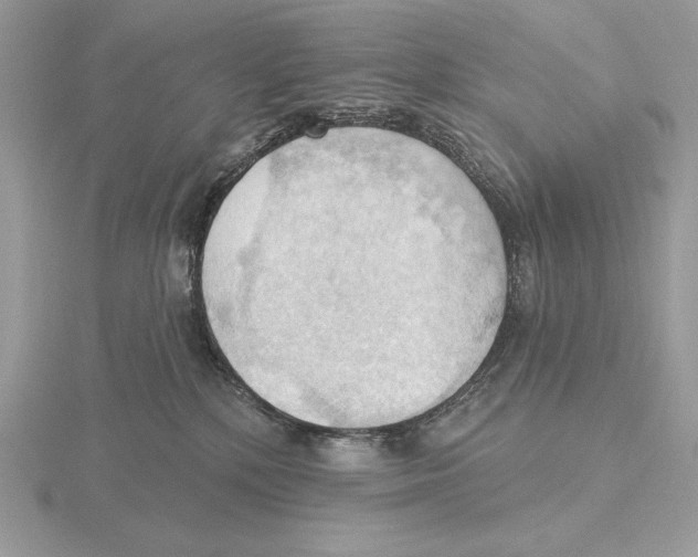 X0000115790232200912111155