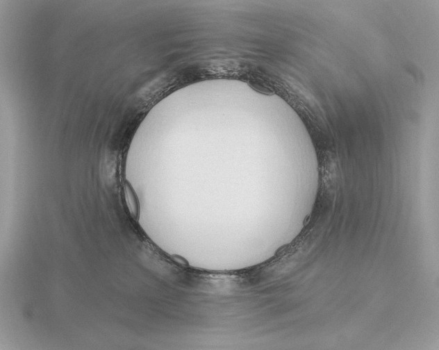 X0000115790233200912111155