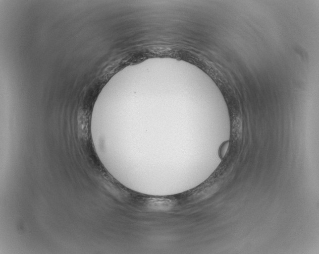 X0000115790234200912111155