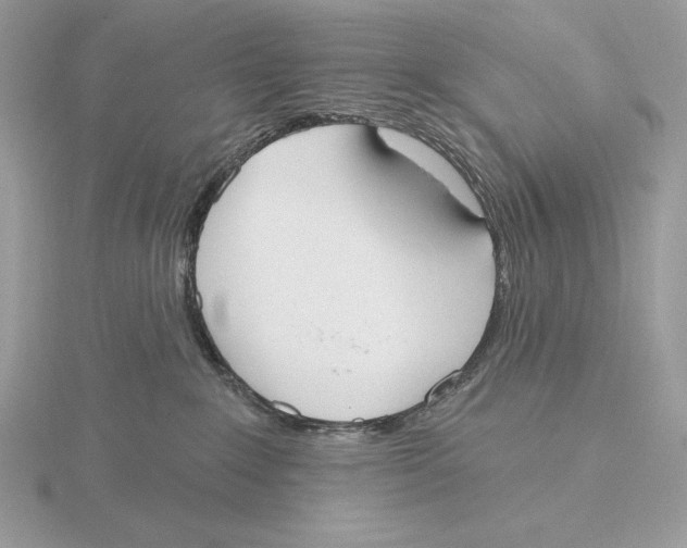 X0000115790235200912111155