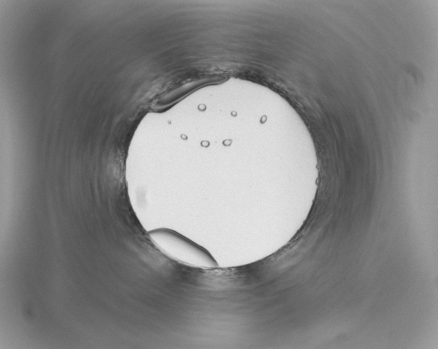 X0000115790240200912111155