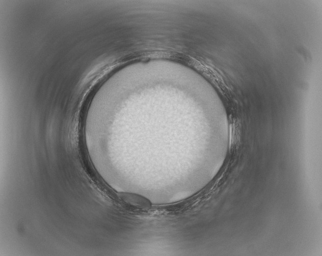 X0000115790243200912111154