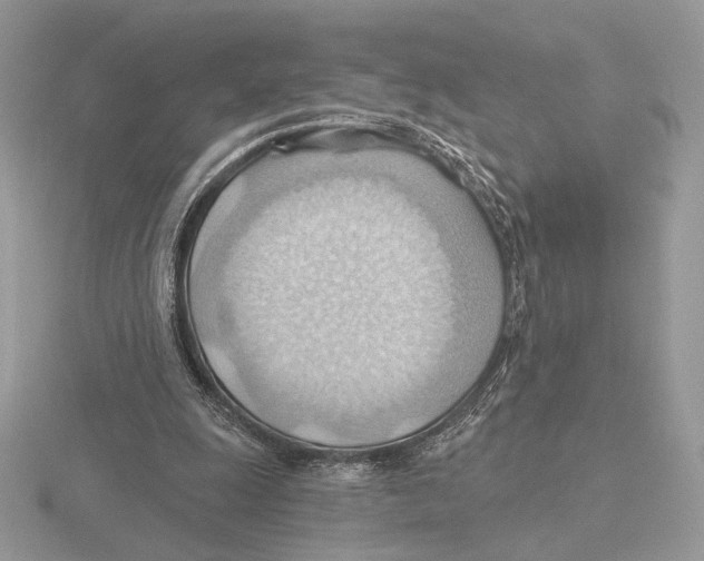 X0000115790247200912111154