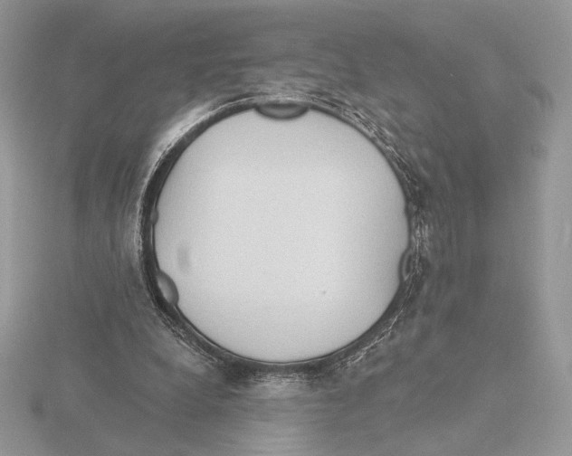 X0000115790248200912111154