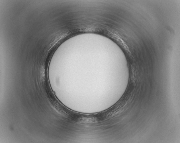 X0000115790251200912111154