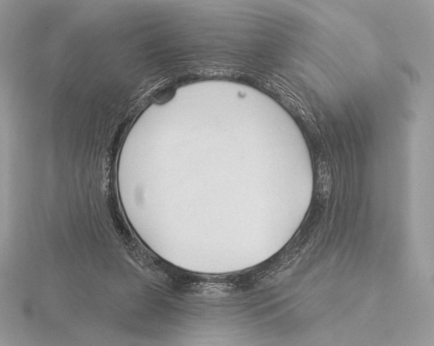 X0000115790255200912111154