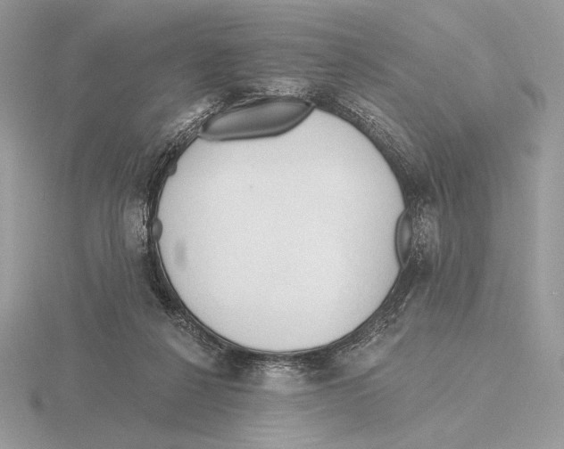 X0000115790264200912111154