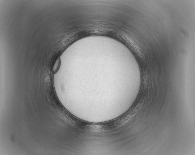 X0000115790265200912111154