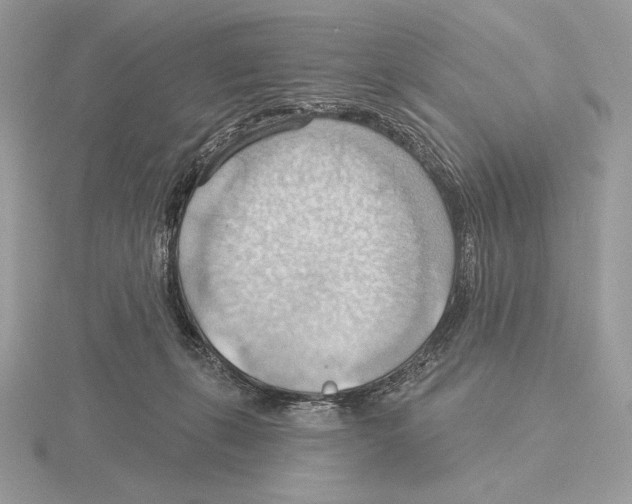X0000115790271200912111154