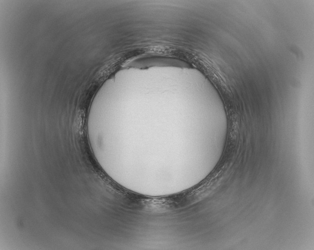 X0000115790273200912111155