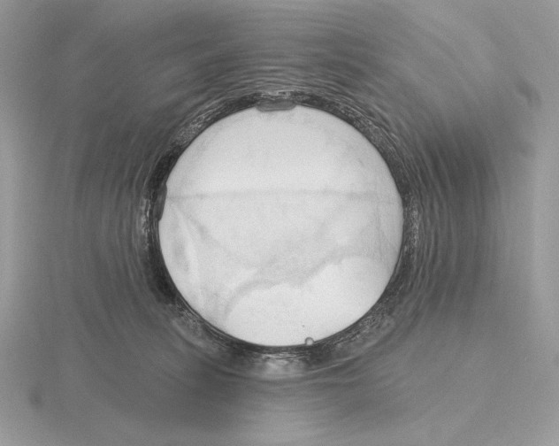 X0000115790275200912111155