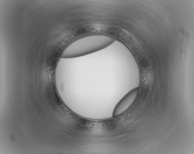 X0000115790276200912111155