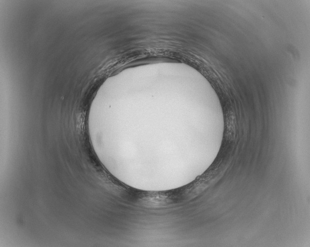 X0000115790278200912111155