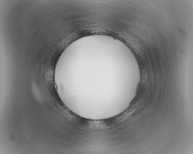 X0000115790281200912111155