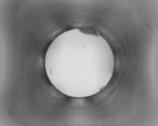 X0000115790282200912111155