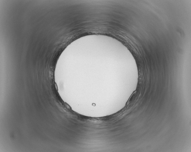 X0000115790284200912111155