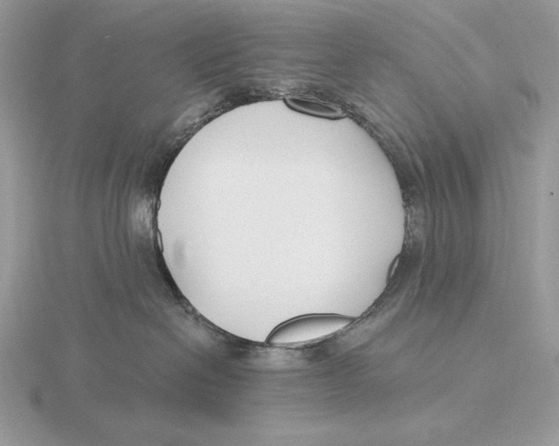 X0000115790286200912111155