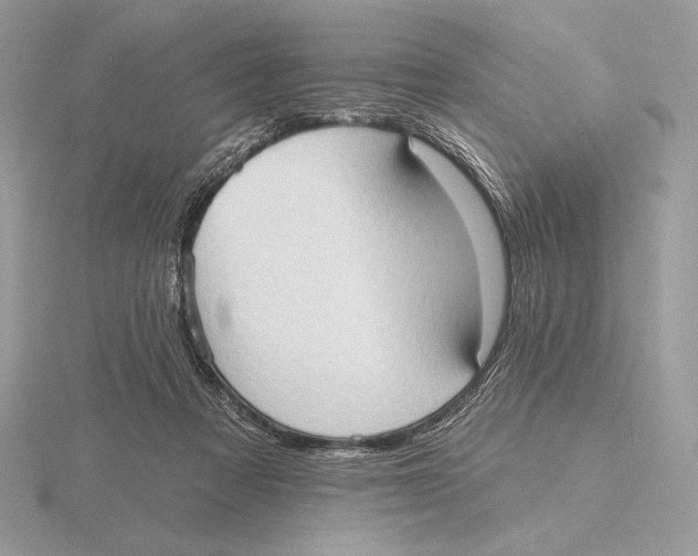 X0000115790313200912111154