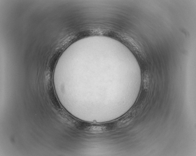 X0000115790314200912111154