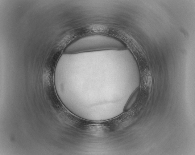 X0000115790316200912111154