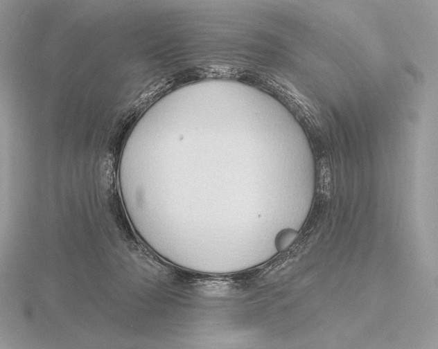 X0000115790318200912111154
