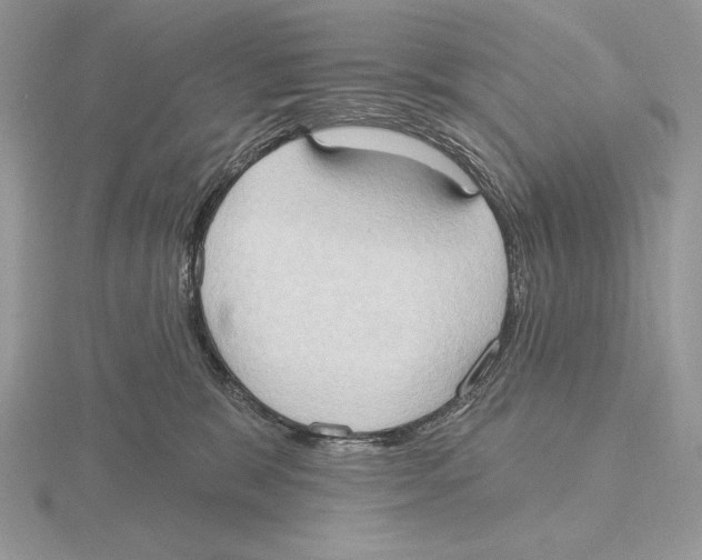 X0000115790327200912111153