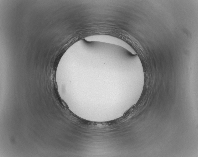 X0000115790329200912111153