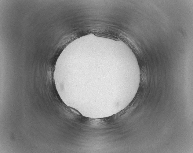 X0000115790333200912111153