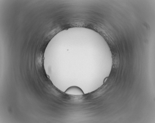 X0000115790334200912111153